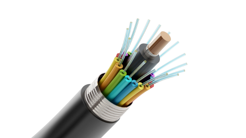 info-800-450 info-800-450